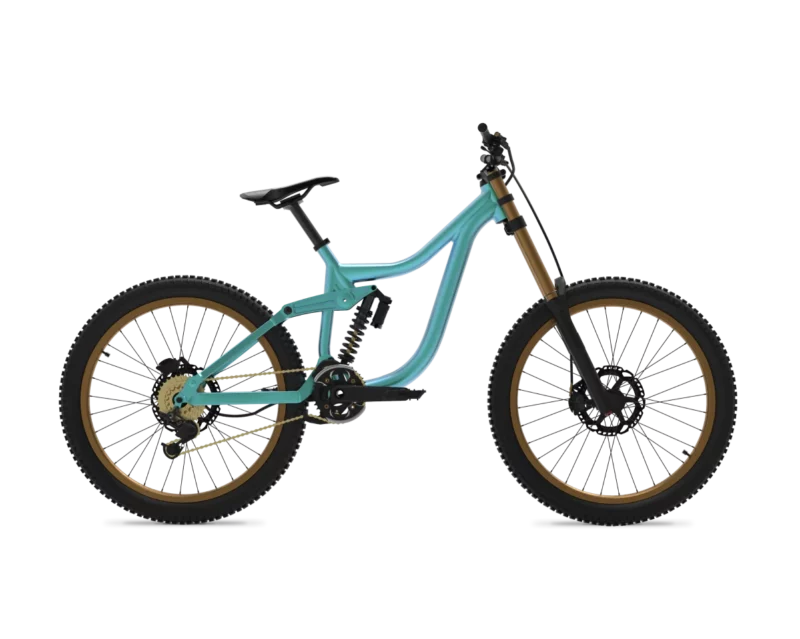 Venus bike